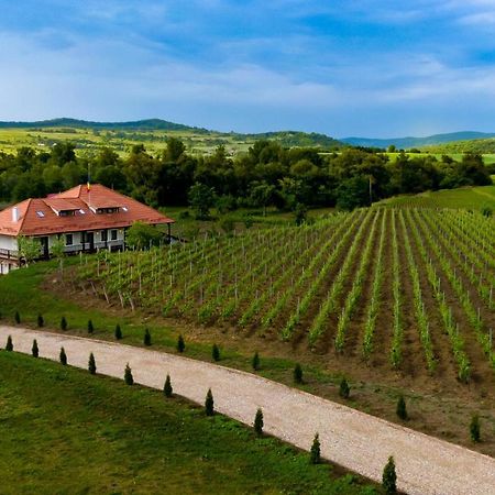 Pensiunea Sonnenhof Sighişoara Exterior foto