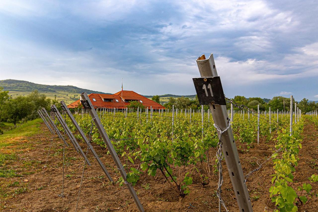 Pensiunea Sonnenhof Sighişoara Exterior foto